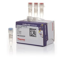  Scientific Phusion高保真DNA聚合酶