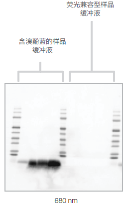 Invitrogen荧光上样缓冲液 (4X, 非还原)-价格-厂家-供应商-世尔科技