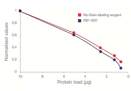 Invitrogen™ No-Stain™ 免染型蛋白标记试剂-价格-厂家-供应商-赛默飞世尔科技