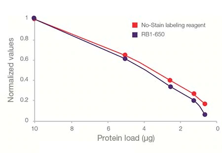 Invitrogen™ No-Stain™ 免染型蛋白标记试剂-价格-厂家-供应商-世尔科技