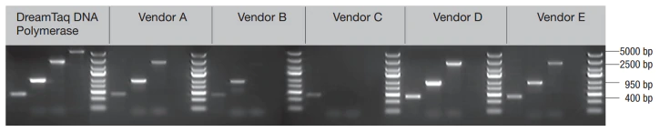 DreamTaq绿色PCR预混液，5 mL-价格-厂家-供应商-赛默飞世尔科技