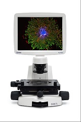 EVOS FL细胞荧光成像系统-价格-厂家-供应商-赛默飞世尔科技