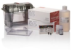 Invitrogen NuPAGE蛋白预制胶迎新套装-价格-厂家-供应商-世尔科技