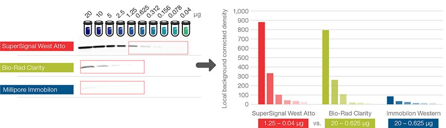 SuperSignal™ West Atto 极敏化学发光底物-价格-厂家-供应商-世尔科技