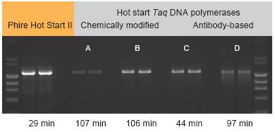  Scientific Phire热启动II DNA聚合酶-价格-厂家-供应商-世尔科技
