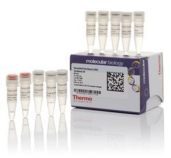 RevertAid第一链cDNA合成试剂盒-价格-厂家-供应商-赛默飞世尔科技