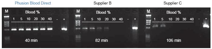  Scientific Phusion全血直接PCR试剂盒-价格-厂家-供应商-世尔科技