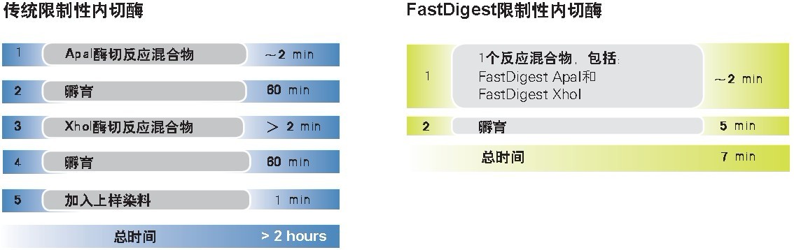 FastDigest快速限制性内切酶-价格-厂家-供应商-赛默飞世尔科技