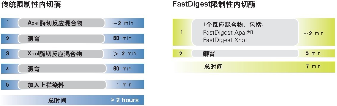 FastDigest快速限制性内切酶-价格-厂家-供应商-世尔科技