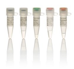 Maxima H Minus cDNA合成预混液-价格-厂家-供应商-世尔科技