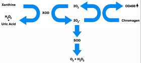 超氧化物歧化酶（SOD）活性分析——Cell BioLabs氧化损伤系列