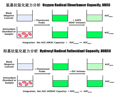 抗氧化能力分析——ORAC及HORAC活力检测方案