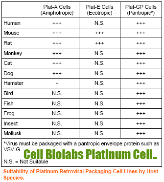 逆转录病毒包装细胞系—铂金版Plat-E/Plat-A/Plat-GP系列