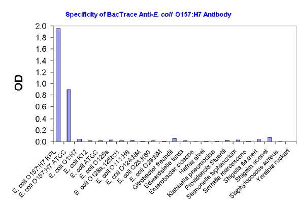 BacTrace抗大肠杆菌O157:H7抗体