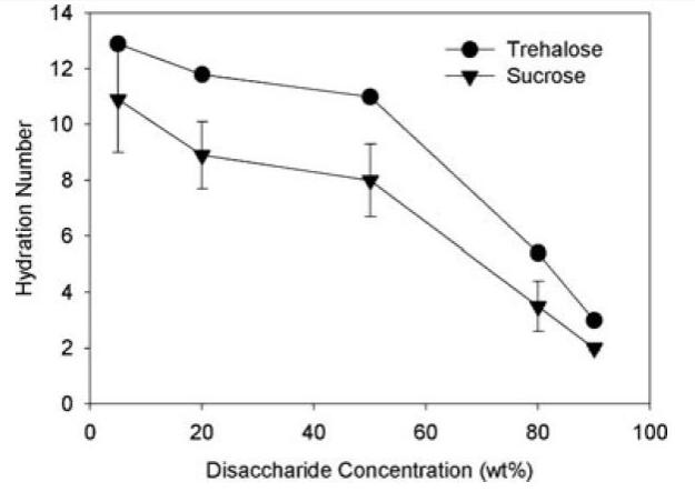 海藻糖新型生物分子保护剂