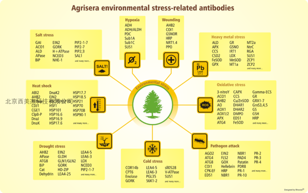 “逆境”前行—Agrisera 环境胁迫专题抗体