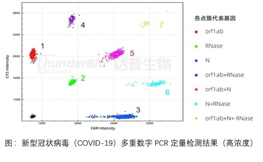 数字PCR之:多重定量检测