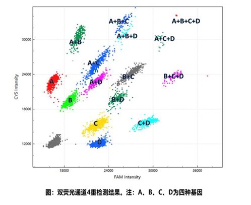 数字PCR之：多重定量检测