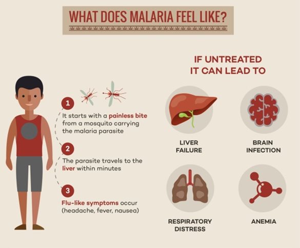 关于疟疾，你还需要了解这些！