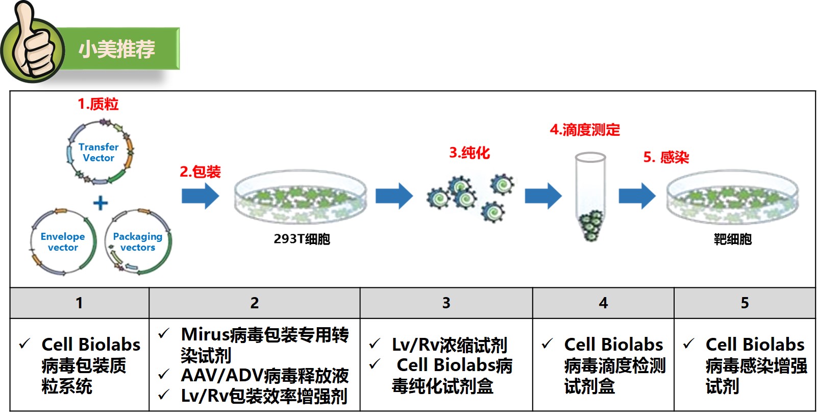 病毒包装方案：五大流程，一个对策！