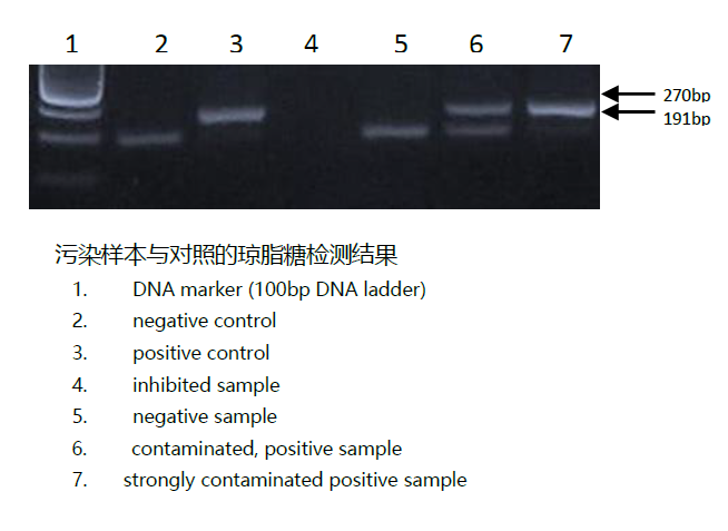 支原体污染解决方案， 给细胞更多的安全与保护