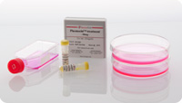 ant-mpt-进口支原体清除剂现货促销Invivogen Plasmocin&trade; treatmen