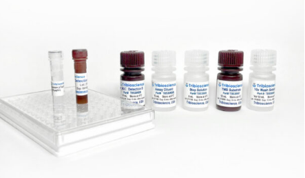 Tribo小鼠G-CSF ELISA试剂盒（Tribo&trade; Mouse G-CSF ELISA KitTBS3080