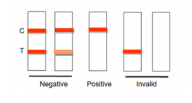 Tribo&trade; Zearalenone (ZEA) Test Strip (20 strips/pacTBS11171