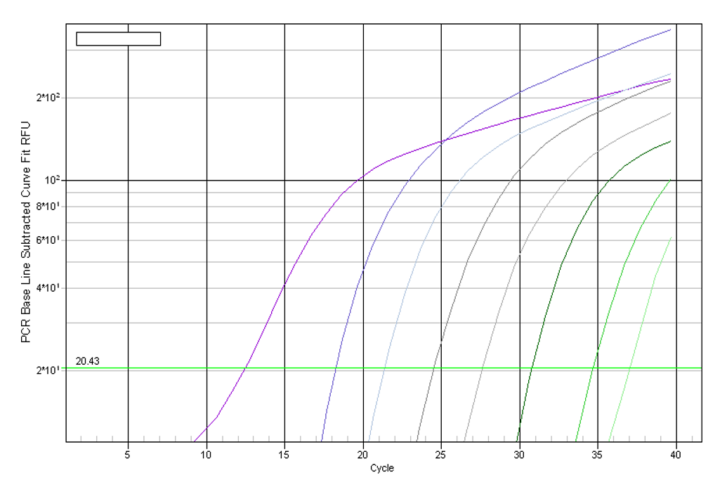 支原体检测qPCR试剂盒(Mycoplasma Detection qPCR Kit)TBS42030