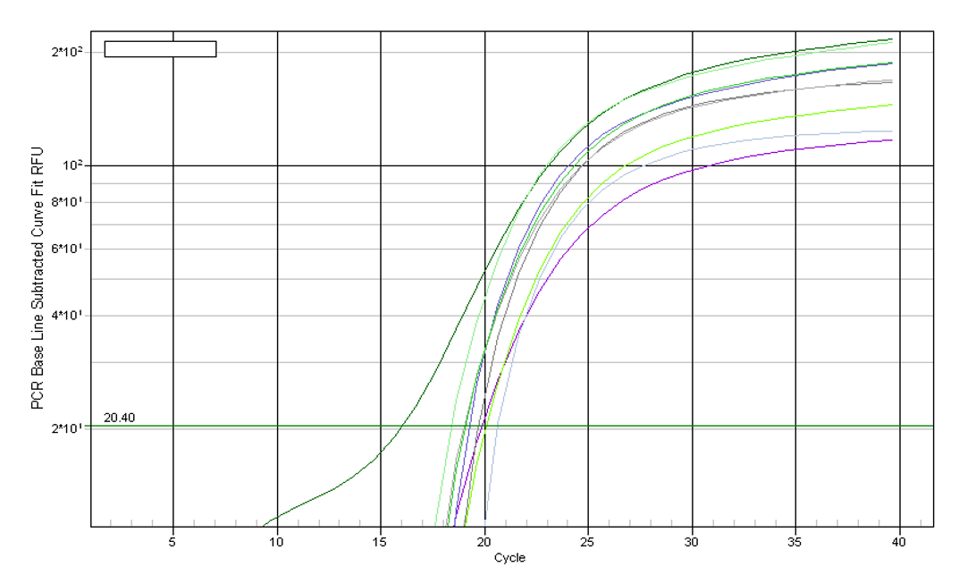 支原体检测qPCR试剂盒(Mycoplasma Detection qPCR Kit)TBS42030