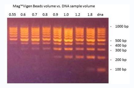 nvigen：MagVigen&trade; Easy DNA Select KitK61001
