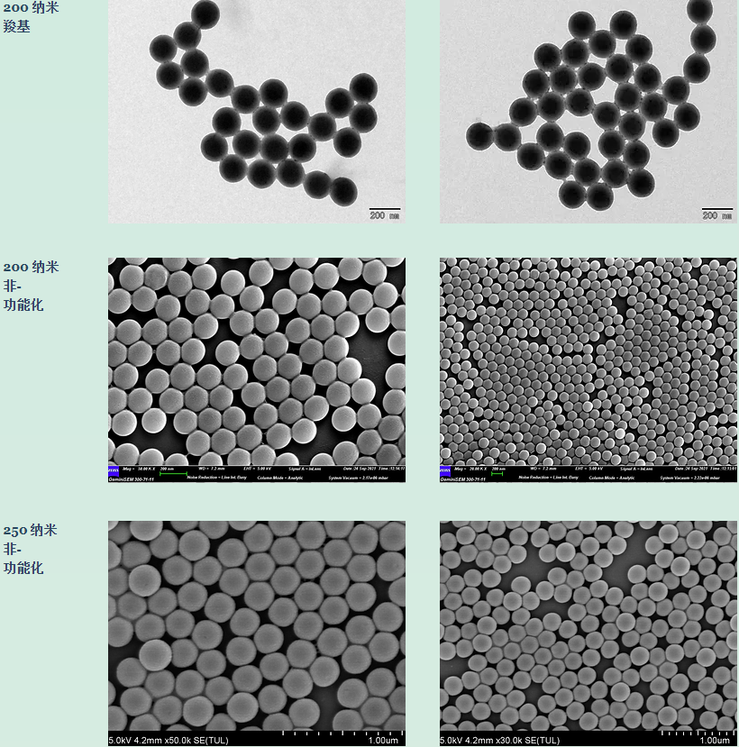Alpha Nanotech非功能化胶体聚苯乙烯纳米球