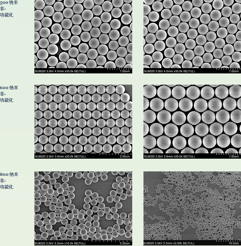 Alpha Nanotech非功能化胶体聚苯乙烯纳米球