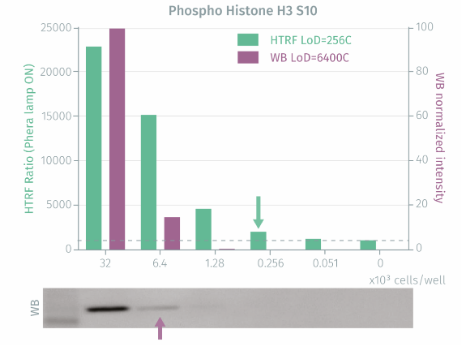 cisbio 磷酸组蛋白 H3 (Ser10) 细胞试剂盒64HH3PEG