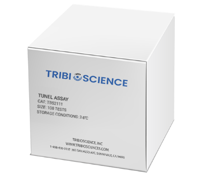 TUNEL分析试剂盒（TUNEL Assay）TBS2111