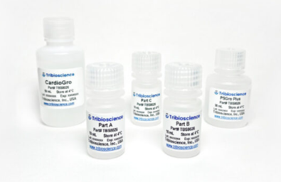 Tribo心肌细胞分化试剂盒（Tribo&trade; Cardiomyocyte DifferentiatioTBS8026