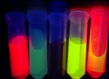 DOPC/CHOL Liposomes labeled with Fluorescein DHPEF60103F2-F