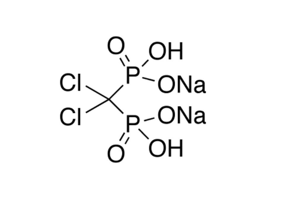 高效氯磷定-氯膦酸盐脂质体（中性)High Potency Clophosome&#174;- ClF70101C-NH
