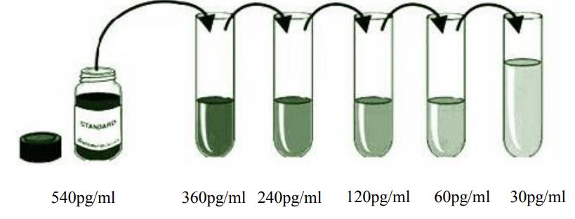 人转化生长因子β(TGF-β)ELISA kitJYM1722Hu