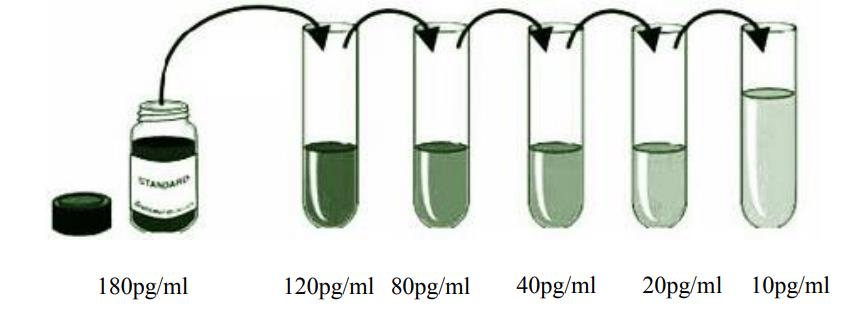 人γ干扰素(IFN-γ)ELISA KitJYM0162Hu