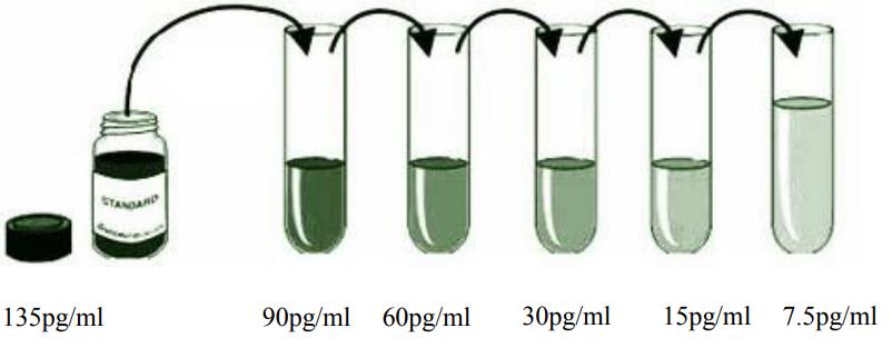 人白介素10(IL-10)ELISA KitJYM0155Hu