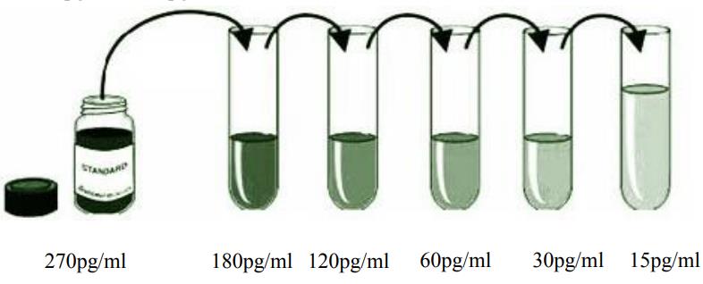 小鼠白介素17F(IL-17F)ELISA kitJYM0593Mo