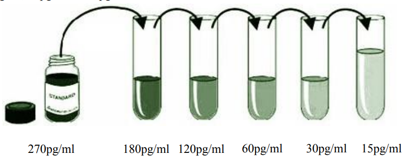 大鼠γ干扰素(IFN-γ)ELISA KitJYM0654Ra