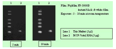 diagnocine：DIG Labeled Blue Color Marker for SmallFNK-DM270