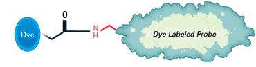 IRDye&#174; 680RD NHS Ester929-70050/929-70051