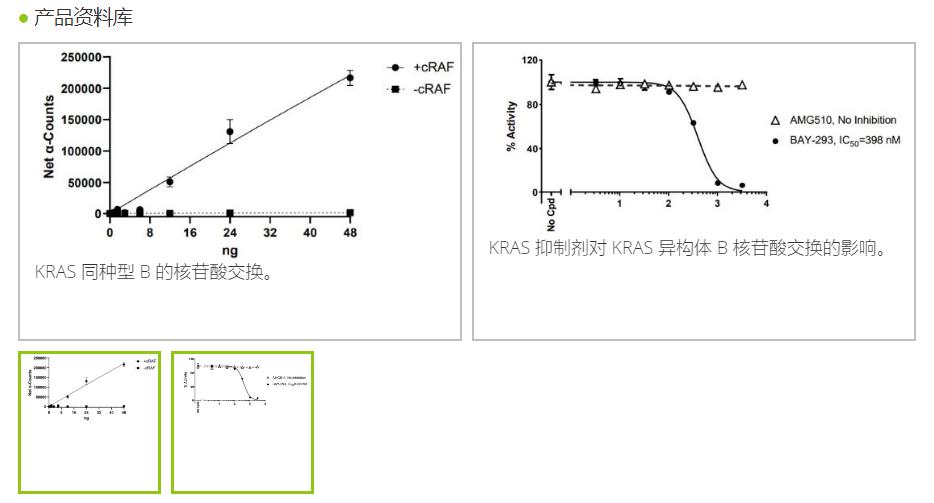 BPS Science 检测试剂盒78583