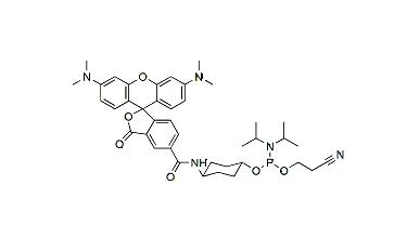 BroadPharm试剂：TAMRA 亚磷酰胺，5-异构体BP-40254
