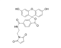 化学试剂FAM maleimide, 6-isomer54180/44180