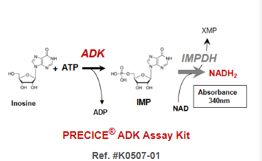PRECICE&#174; ADK Assay Kit——novocib#K0507-01