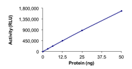 PI4KB, Active(P32-102G)P32-102G-10